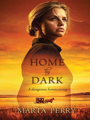 cover image of Home by Dark